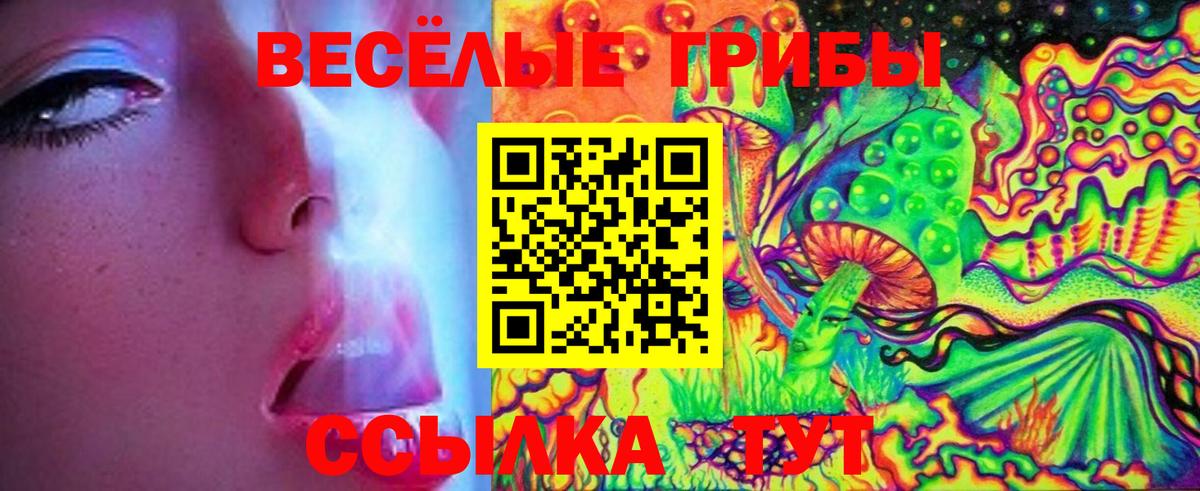 Галлюциногенные грибы прущие грибы  Вход с VPN  Лабытнанги  Галлюциногенные грибы мицелий 